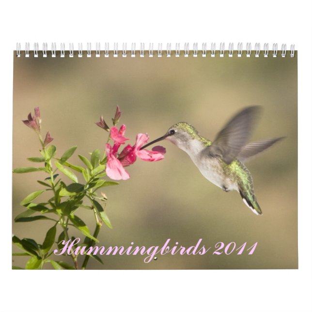 Calendário do colibri (Capa)