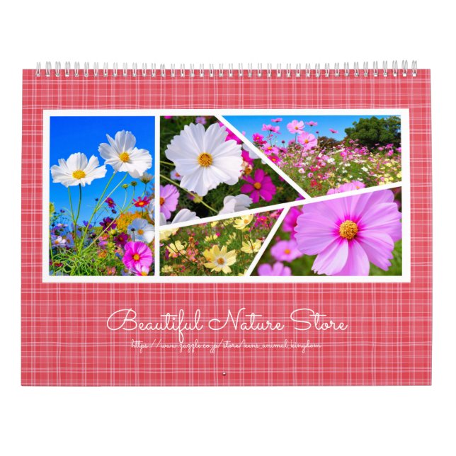 Calendário do Cosmos (Verso)