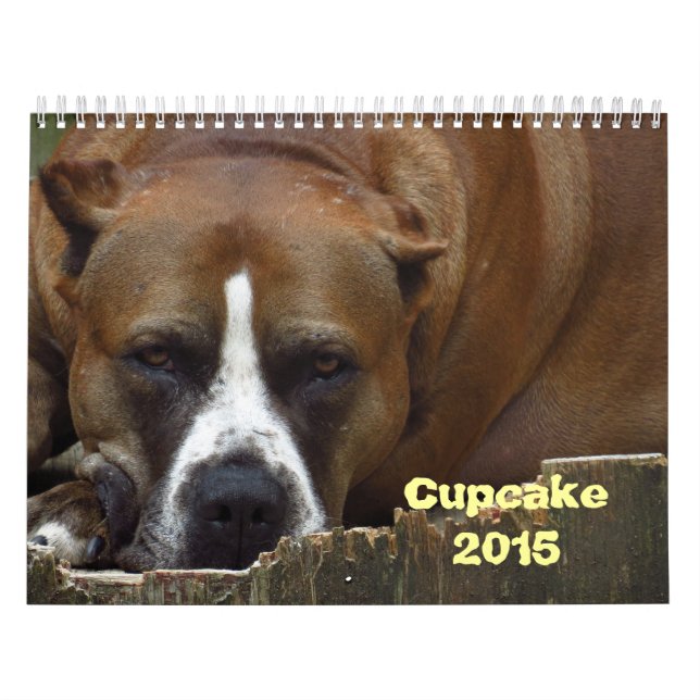 Calendário do Cupcake (Capa)