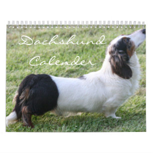Calendário do Dachshund