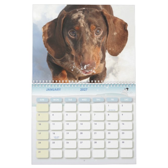 Calendário do Dachshund (Jan 2027)