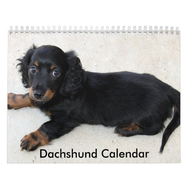 Calendário do Dachshund 2023 Fotos Personalizadas (Capa)
