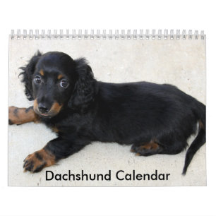 Calendário do Dachshund 2023 Fotos Personalizadas