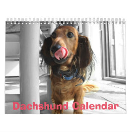 Calendário do Dachshund 2026 Adicione Suas Fotos