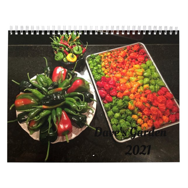 Calendário do Dave Garden 2021 (Capa)