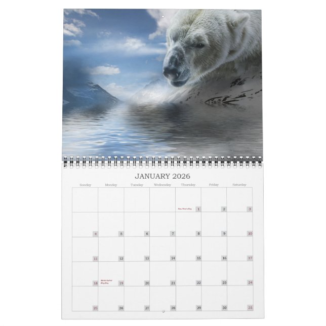 Calendário do desenhista do cruzeiro até 2010 - (Jan 2026)