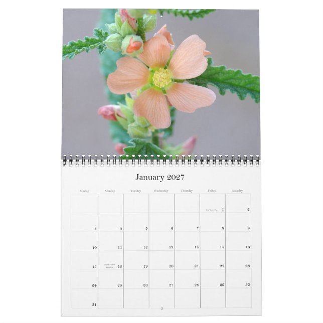 Calendário do Deserto Sonoran para 2008 (Jan 2027)
