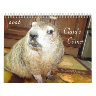 Calendário do Dia da Marmota da Clara de 2026 B