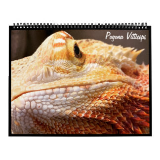 Calendário do Dragão de Carborada de Pogona Vittic