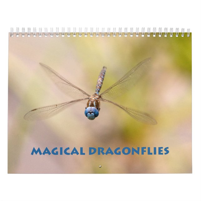 Calendário do Dragonfly (Capa)