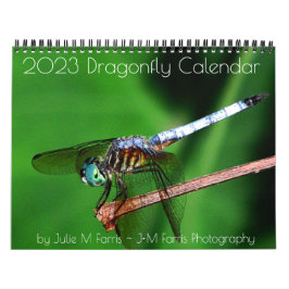 Calendário do Dragonfly 2023