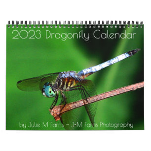 Calendário do Dragonfly 2023