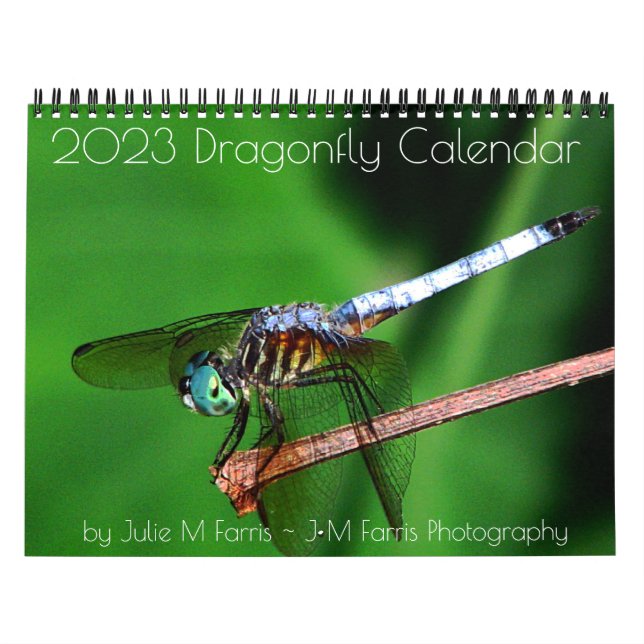 Calendário do Dragonfly 2023 (Capa)