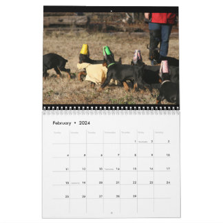 Calendário do DT 2024