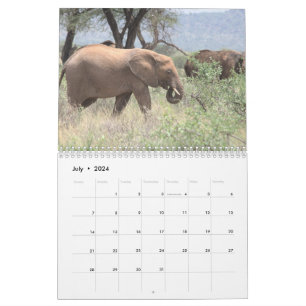 Calendário do Elefante