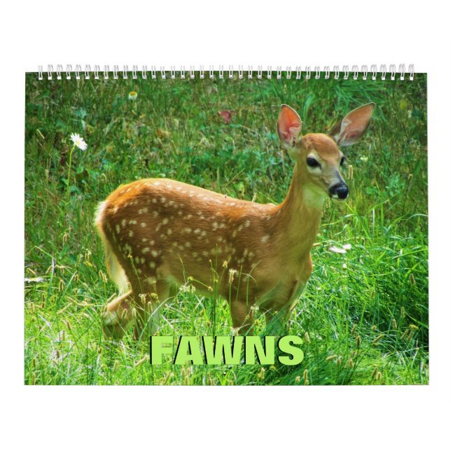 Calendário do Fawns (Capa)
