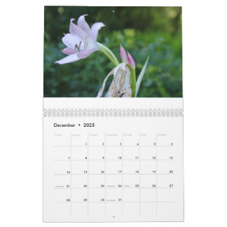 Calendário do feliz ano novo 2025