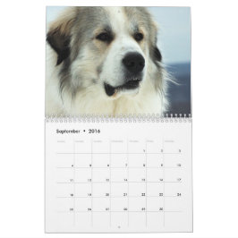 Calendário do filhote de cachorro de 2016 grandes