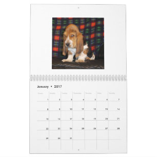 Calendário do filhote de cachorro de Basset Hound