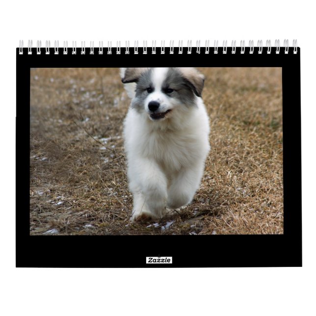 Calendário do filhote de cachorro de grandes (Verso)