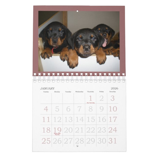 Calendário do filhote de cachorro de Rottweiler (Jan 2026)