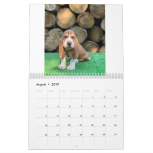 Calendário do filhote de cachorro do cão de Bass