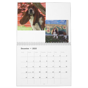 Calendário do filhote de cachorro do cão de Bass