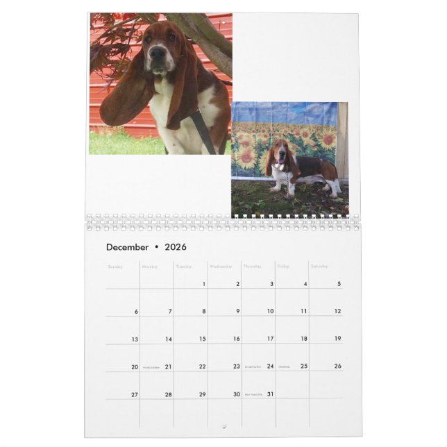 Calendário do filhote de cachorro do cão de Basset (Dez 2026)