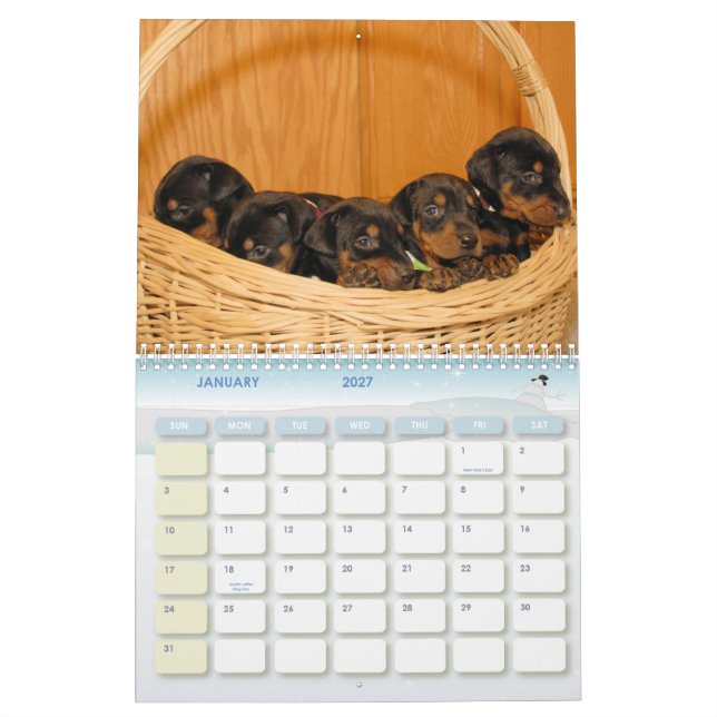 Calendário do filhote de cachorro do Doberman (Jan 2027)