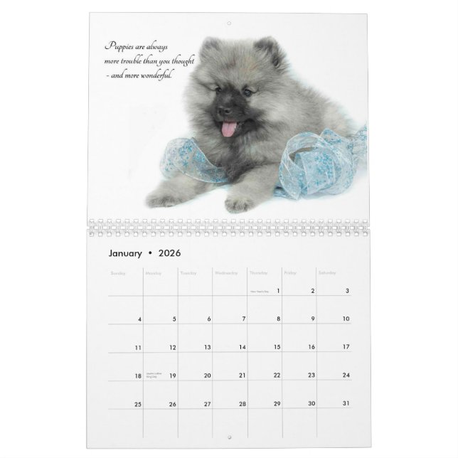 Calendário do filhote de cachorro do Keeshond (Jan 2026)