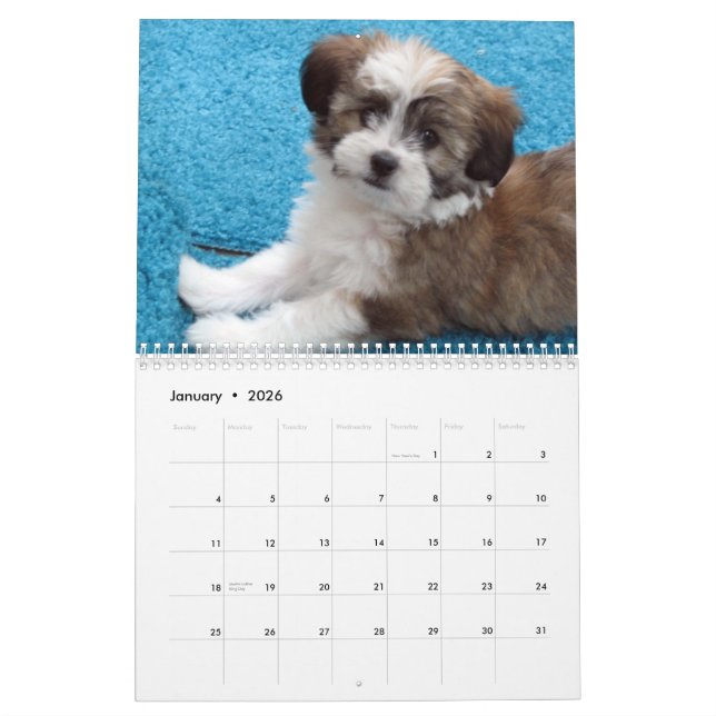 Calendário do filhote de cachorro do salvamento de (Jan 2026)