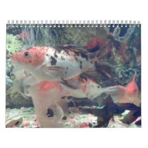Calendário do Fish Koi