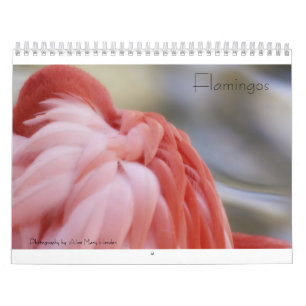 Calendário do flamingo