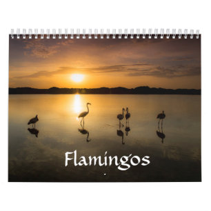 Calendário do flamingo