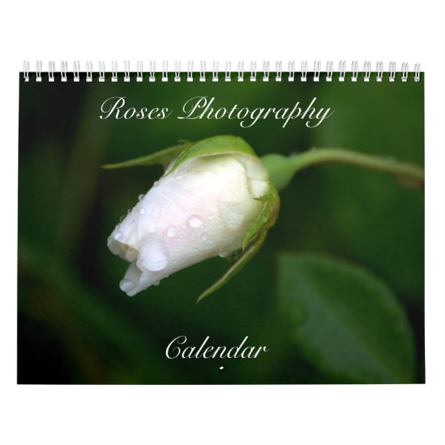 Calendário do Flor de Fotografia do Rosa (Capa)