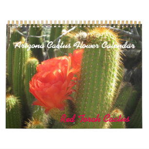 Calendário do Flor do Cactus de arizona