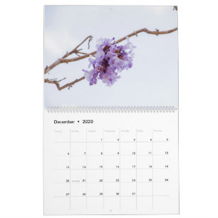Calendário do Flor Jacaranda
