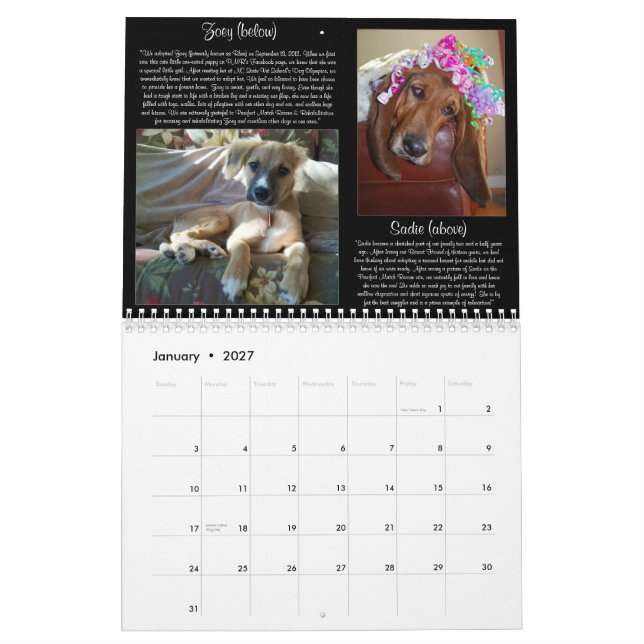 Calendário do fósforo 2013 de Pawfect (Jan 2027)