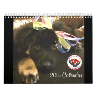 Calendário do fósforo 2015 de Pawfect