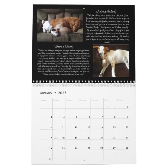 Calendário do fósforo 2015 de Pawfect (Jan 2027)