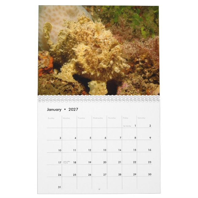 Calendário do Frogfish 2012 (Jan 2027)