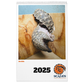 Calendário do Fundo de Emergência Pangolin 2025