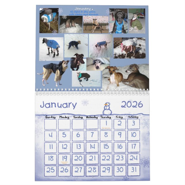 Calendário do galgo italiano de IGWhispers 2012 (Jan 2026)