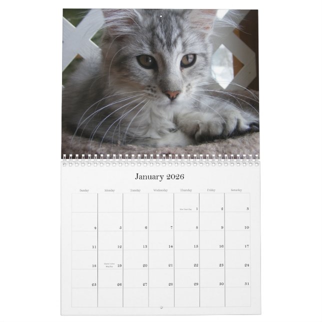 Calendário do gatinho do racum de Maine (Jan 2026)