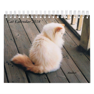Calendário do gato