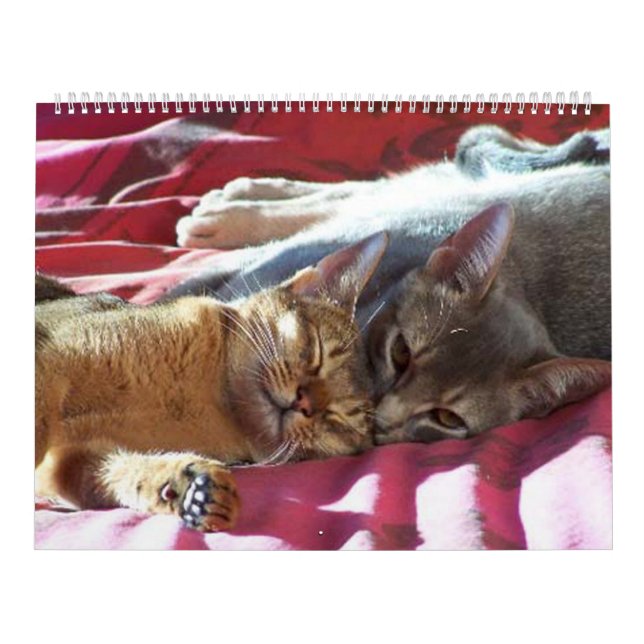 Calendário do gato (Capa)