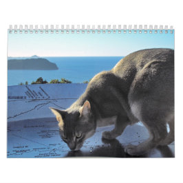 Calendário do gato