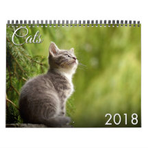 Calendário do gato 2018 e do gatinho