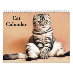 Calendário do Gato Bengala 2022