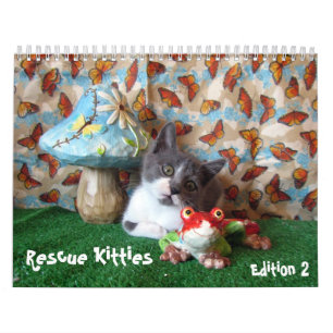Calendário do Gato de Emergência - Edição 2